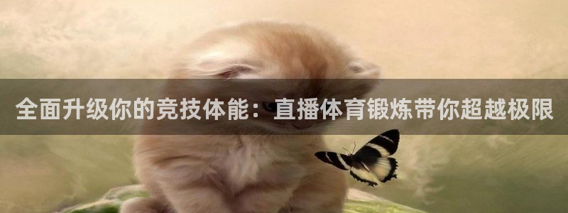 绿茵直播体育在线观看免费高清：全面升级你的竞技体能：直播体育锻炼带你超越极限