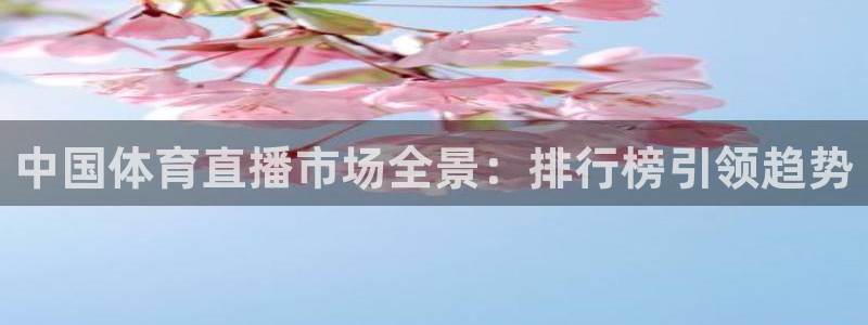 绿茵篮球直播在线观看：中国体育直播市场全景：排行榜引领趋势