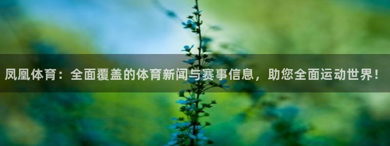绿茵直播球赛在线观看：凤凰体育：全面覆盖的体育新闻与赛事信息，助您全面运动世界！