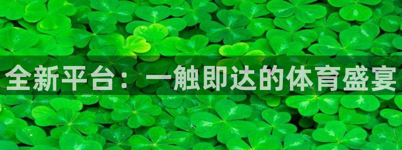 绿茵足球直播在线观看：全新平台：一触即达的体育盛宴