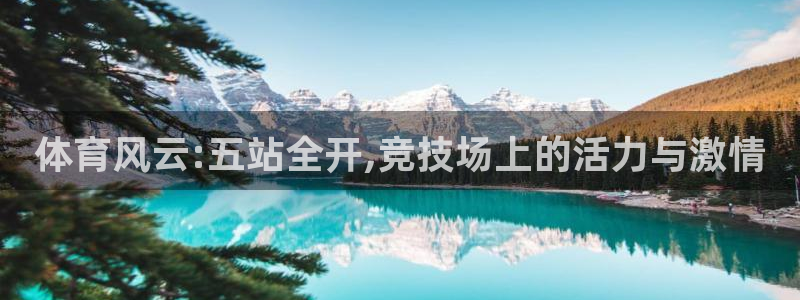绿茵直播下载：体育风云:五站全开,竞技场上的活力与激情