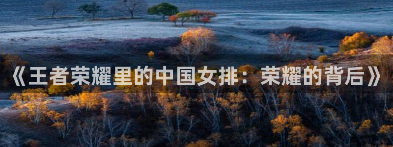 绿茵体育直播平台：《王者荣耀里的中国女排：荣耀的背后》