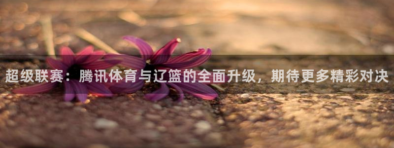 绿茵足球官网：超级联赛：腾讯体育与辽篮的全面升级，期待更多精彩对决