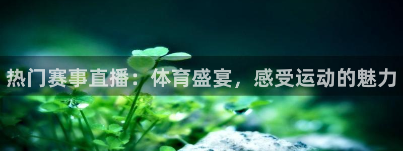 绿茵体育免费观看：热门赛事直播：体育盛宴，感受运动的魅力