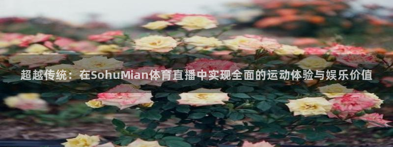 绿茵直播体育免费观看lyzb：超越传统：在SohuMian体育直播中实现全面的运动体验与娱乐价值