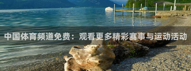 绿茵直播体育app下载：中国体育频道免费：观看更多精彩赛事与运动活动