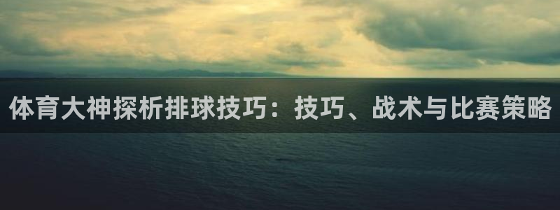 nba直播绿茵直播：体育大神探析排球技巧：技巧、战术与比赛策略