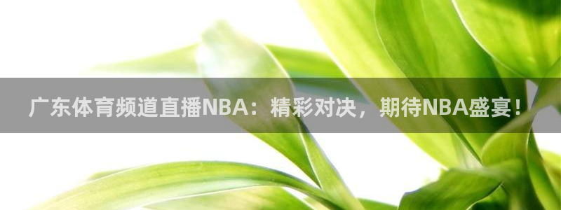 绿茵足球直播免费观看：广东体育频道直播NBA：精彩对决，期待NBA盛宴！