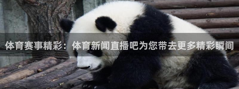 绿茵直播篮球：体育赛事精彩：体育新闻直播吧为您带去更多精彩瞬间